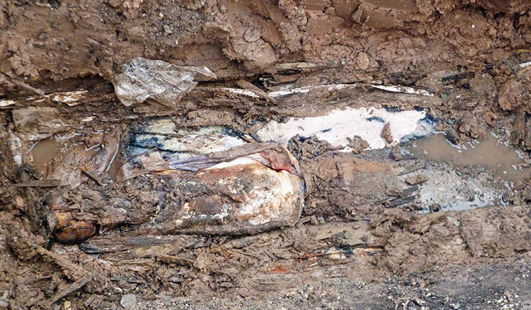 Geologische und hydrologische Probleme führen zu einem Stopp der Verwesungsprozesse und es bilden sich Wachsleichen. Bild: Hubert Schmit Geologische und hydrologische Probleme führen zu einem Stopp der Verwesungsprozesse und es bilden sich Wachsleichen. Bild: Hubert Schmit