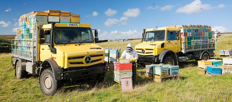 Der Unimog unterstützt die Imker von Woldgate Honey auf jedem Gelände. Bild: Daimler.com