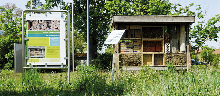 Blühfläche und Insektenhotel des Amts für Ernährung, Landwirtschaft und Forsten Kitzingen. Bild: StMELF