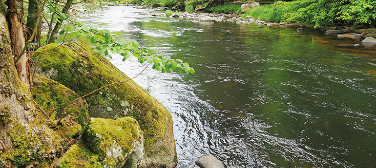 Ein naturnaher Abschnitt der Ilz im Bayerischen Wald. Bild: Sigrun Lange