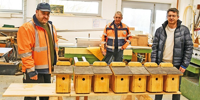 13 Nistkästen für Kohlmeisen haben Gerhard Greiner und Josef Beer vom Bauhof angefertigt. Laut Bauhof-Leiter Jürgen Stegerer (re.) wurden sie bereits an Eichen an öffentlichen Plätzen angebracht. Bild: Michael Hitzek