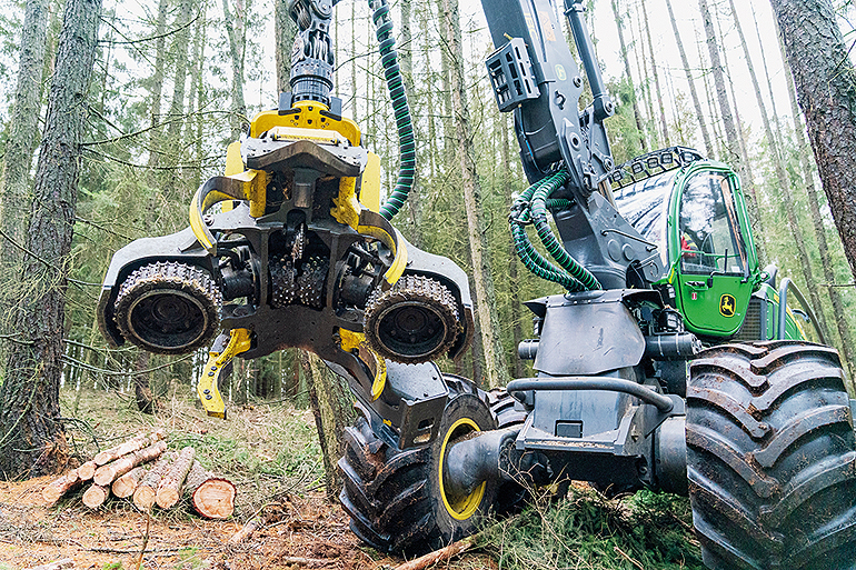 Ökologischer Ausgleich: Langfristig lassen Bayernwerk Netz und Bayerische KulturLandStiftung in Raumetengrün einen klimastabilen Zukunftswald entstehen. Bild: Adriane Lochner, Bayernwerk AG