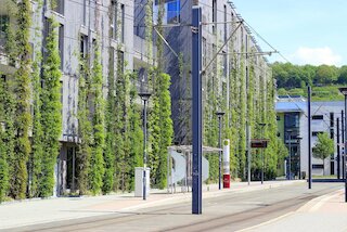 Stadtgrün