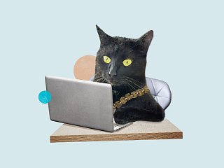 Bild der Kolumne "Pino"